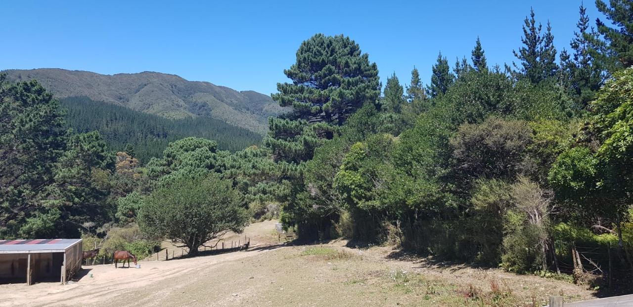 Incline Cottage Upper Hutt Buitenkant foto